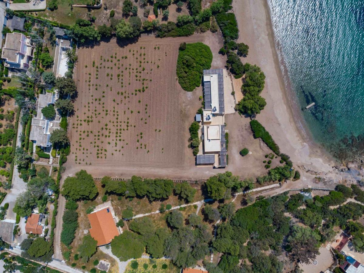 Black Diamond Beachfront Pool Villa Pasithea In Sounio, Athens Sounion Bagian luar foto